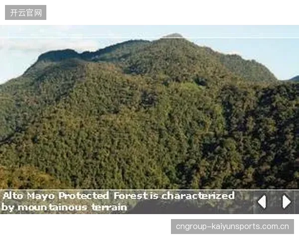 全球29个国家和地区199名选手同台：探索人类多样性与运动精神的交汇之旅